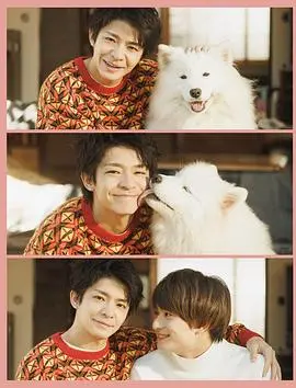 《爱你汪汪》：甜宠升级！狗狗CP助攻，解锁你的恋爱少女心！