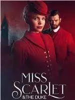 《天堂岛疑云 第十三季》：风光背后的阴谋，侦探们如何揭开隐藏在热带天堂的罪恶？