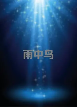 《雨中鸟》：一场关于自由与束缚的生命寓言，在绝望中追寻渺茫的希望