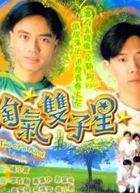《淘气双子星》：这“人生开局”就自带烦恼？双倍的快乐还是双倍的糟心？